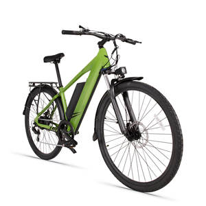 La <span class=keywords><strong>bicicleta</strong></span> eléctrica C3 está equipada con una batería de litio de 250W y 48V. - Product Image 4