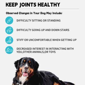 OEM Private Label Hip <span class=keywords><strong>Joint</strong></span> Soft masticazioni per cani gatti supplemento di supporto per la salute degli animali domestici integratori - Product Image 2
