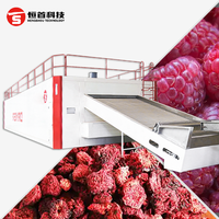 Industriële fruitdroogmachine, frambozenbanddroger, fruitdroogmachine met gaasband