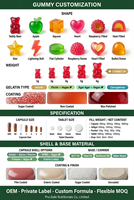 Gummies de collagène hydrolysé personnalisées OEM 10g pour la beauté de la peau, des cheveux, des ongles et des muscles, enrichies en biotine et vitamines, pour femmes, fabriquées en usine GMP