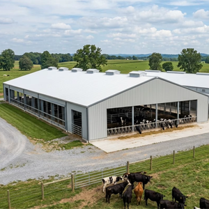 Structure en acier préfabriquée durable pour la fabrication en usine de bâtiments de ferme laitière en acier - Product Image 1