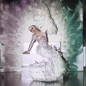 Elegante <span class=keywords><strong>ver</strong></span> a través de <span class=keywords><strong>plumas</strong></span> de diamantes de imitación boda fiesta vestidos de baile señoras cumpleaños desfile vestido mujer sirena vestido de noche - Product Image 1