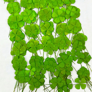 I612 bốn lá cỏ ba lá thực sự lá khô hoa dập nổi Đèn bàn hoa tạo nên vật liệu - Product Image 6