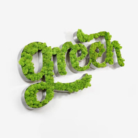 Panneau en mousse personnalisé Lettres d'entreprise Logo en mousse artificielle 3D Signalisation murale avec logo