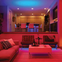 Vente chaude Led Strip Light Car Cuttable Custom GS8206 Led Strip CCT Led Strip