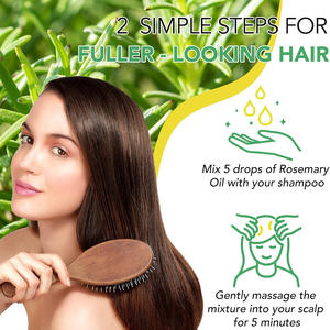 Suero Capilar Orgánico Anticaspa de Jengibre con Aceite de Árbol de Té para el Crecimiento del Cabello y Prevención de la Caída, Marca Blanca al por Mayor - Product Image 4