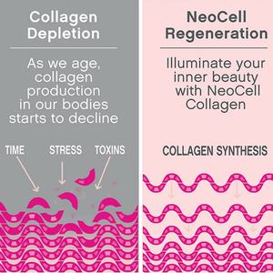 Comprimés de collagène OEM/ODM, collagène avec vitamine C pour les cheveux, la peau, les ongles et les articulations - Product Image 4