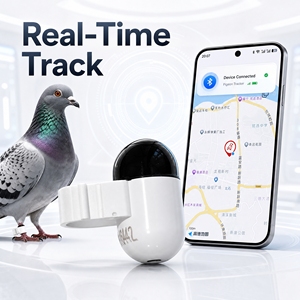 Traceur GPS+LTE Mini Bluetooth pour <span class=keywords><strong>oiseaux</strong></span>, alarme anti-perte 120 dB, étanche IP67, localisateur de position pour animaux de ferme et domestiques, prêt à être expédié - Product Image 5