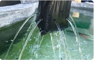 Sacs <span class=keywords><strong>de</strong></span> culture réutilisables en plastique noir pour pépinière, pots <span class=keywords><strong>de</strong></span> culture extérieurs pour concombres, tomates, fleurs, capacité personnalisable en gallons - Product Image 3