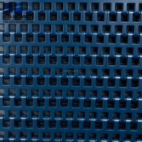 Bande transporteuse modulaire en plastique POM/PP de qualité alimentaire pour la transformation de la volaille et du poisson