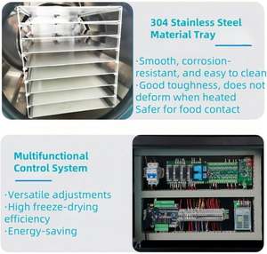 Máquina de Secado por Congelación Eléctrica de Gran Capacidad de 20 KG para Uso Doméstico, Alimentos y Frutas Deshidratadas con Bomba de Vacío, para Uso Agrícola - Product Image 3