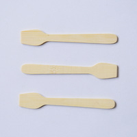 Vaisselle jetable écologique Logo personnalisé Couverts en bambou en bois Petites cuillères à dessert pour glace