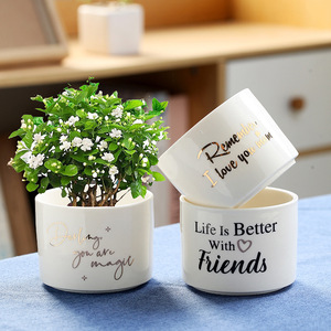 Pot de fleurs rond en céramique blanche pour plantes succulentes avec plateau en bambou et trou de drainage pour cactus - Product Image 4