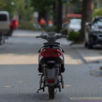 1500W yüksek hızlı yetişkin elektrikli Moped | Disk fren ve çift koltuk tasarımı ile 72V çelik çerçeve E motosiklet