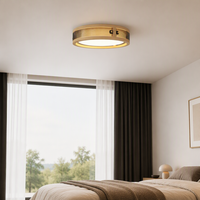 Plafonnier LED créatif en verre et bois 24W, design minimaliste en fer, protection oculaire, pour chambre et salon