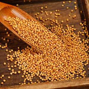 Semillas de <span class=keywords><strong>Mostaza</strong></span> Secas Naturales, Sin Azufre, Especias para Kimchi e Ingredientes Herbales, Salsa de <span class=keywords><strong>Mostaza</strong></span> y Suplementos Dietéticos - Product Image 4