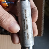 Mamelon fileté SS316 NPT par exemple 1/2 "de diamètre par 2" de long