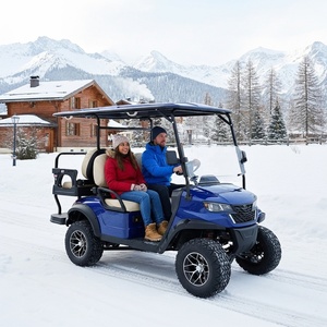 Voiturette de <span class=keywords><strong>golf</strong></span> électrique HLD en cuir et tissu, <span class=keywords><strong>4</strong></span> places, 60V AC, moteur 3.5KW, pour visites touristiques, scooter navette en acier - Product Image 6