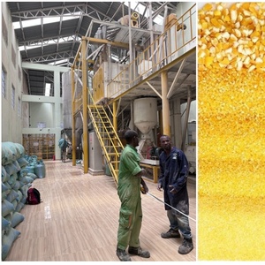 Molino de Maíz Xingfeng de Alta Eficiencia y Calidad, 50 Toneladas/24h, con Motor y Rodillo, para Uganda y Kenia - Product Image 6