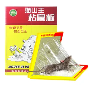 Piège à colle en forme de souris et de rat, magique, accessoire pour colle