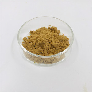 สารสกัดจากใบบริสุทธิ์เกรดอาหาร10:1 100:1ผงสำหรับขาย - Product Image 4