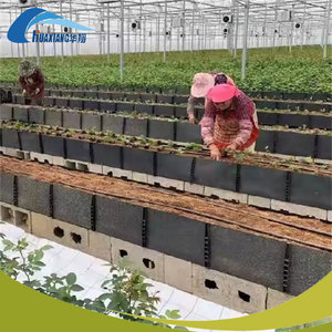 Hydroponic Cultivation Drainage Collection <strong>PP</strong> Growing <strong>Gutters</strong> Plastic Drainage <strong>Gutter</strong> - Product Image 4