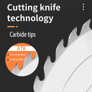 <span class=keywords><strong>Lame</strong></span> <span class=keywords><strong>de</strong></span> <span class=keywords><strong>scie</strong></span> circulaire multi-déchirures à pointe <span class=keywords><strong>de</strong></span> carbure OEM personnalisable matériau à dents TCT soudées à haute fréquence <span class=keywords><strong>pour</strong></span> <span class=keywords><strong>scie</strong></span> d'établi - Product Image 2