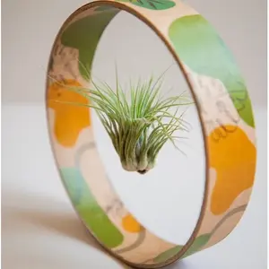 Tiland Zero, pianta senza aria, merchandising sostenibile - Product Image 1