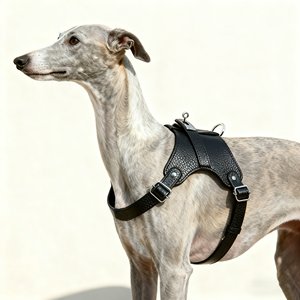 Imbracature, Guinzagli e Collari per Animali Domestici con Motivi Stampabili Originali e alla Moda, Forniture per Animali Domestici Transfrontaliere - Product Image 1