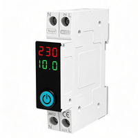 OEM Tuya WiFi Smart Mini Plastic MCB 1P 18mm 10kA Montage sur rail DIN