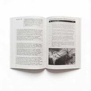 Ensemble de livres reliés en papier broché pour la <span class=keywords><strong>lecture</strong></span> en vrac, impression de livres pour enfants, couverture souple, reliure parfaite, planificateur personnalisé, papier d'art, écologique - Product Image 4