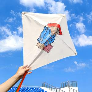 Cerfs-volants personnalisables pour enfants : Créez vos propres cerfs-volants amusants avec une expérience de peinture créative - Product Image 3