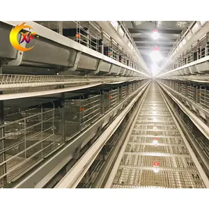 Otomatik tavuk tarım ekipmanları gübre temizleme sistemi kanatlı yumurta tabakası tavuk pil kafesleri