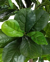 FLOWORLD Langlebiger Künstlicher Ficus Lyrata Baum Über 1,8m Groß mit Metalltopf 183cm H x 89cm T Innen-/Außendekoration