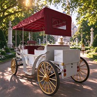 Charrette de tourisme rouge sur mesure, charrette de mariage, charrette électrique, transport spécial