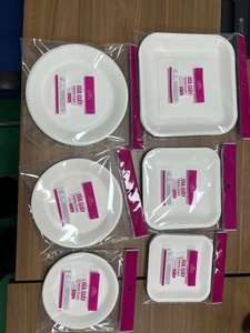 Assiettes en papier jetables de 16 cm biodégradables, rondes, pour fêtes, qualité alimentaire, fabrication OEM ODM Vietnam, directement de l'usine - Product Image 4