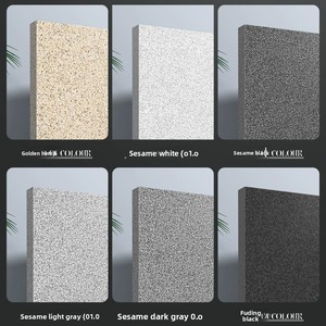 Piedras de Pavimento de Cerámica Ecológicas <span class=keywords><strong>Wow</strong></span> para Patios Rurales Exteriores - Baldosas de Cerámica de Cuarzo con Superficie Mate Antideslizante de 12/18 mm de Espesor - Product Image 4