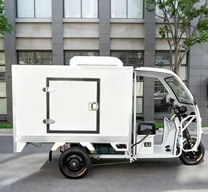 Tricycle Motorisé avec Chambre Froide et Système de Contrôle Électronique Intelligent Tricycles Motorisés avec Chambre Froide Tricycle à 3 Roues avec Chambre Froide - Product Image 1