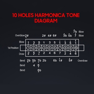 Harmonica <span class=keywords><strong>Diatonique</strong></span> Blues Harmonica Clé de C 10 Trous 20 Tons Blues <span class=keywords><strong>Harpe</strong></span> Orgue à Bouche Harmonica Coque en acier inoxydable - Product Image 6