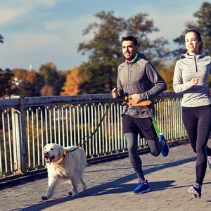 Pet Waist Pack Leash Reflective Elastic Shockproof Running Rope Comfortable Soft Strong For Outdoor Sports - Product Image 4