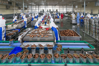 Chaîne de production automatique de viande pour barbecue : machine de marinage, mélange et rôtissage, ligne de grillades continue sur brochettes