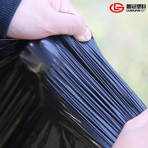 <span class=keywords><strong>Film</strong></span> de paillage biodégradable <span class=keywords><strong>noir</strong></span> 1,2 m x 500 m, plastique agricole 30 microns <span class=keywords><strong>pour</strong></span> la <span class=keywords><strong>plantation</strong></span> d'ananas - Product Image 5