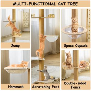 Grande Struttura per Gatti Petdom, Albero da Arrampicata Multilivello Moderno con Tiragraffi e Struttura da Soffitto - Product Image 4