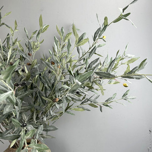 RK028 Vente en gros directe d'usine, feuille d'<span class=keywords><strong>olivier</strong></span> à quatre lobes de haute qualité pour la décoration intérieure - Product Image 6