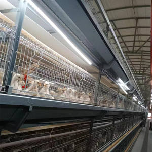 Équipement automatique de <span class=keywords><strong>poulailler</strong></span> pour poulets de chair cages pour animaux à l'état crypté et grossier - Product Image 4