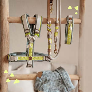 Arnés y <span class=keywords><strong>Collar</strong></span> de Diseño de Lujo Personalizado para Perro - Chaleco Suave con Patrón Sólido para Todas las Estaciones - Product Image 5