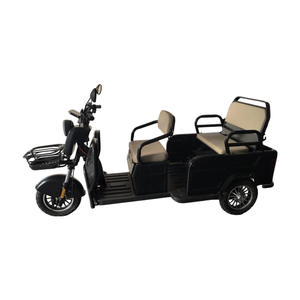 Tricycle électrique ouvert à 3 places, 60V, cadre en acier (homologué DOT), transport lourd, autonomie de 30 à 50 km, pour le transport de personnel et d'équipements dans les parcs de recherche - Product Image 4