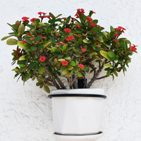 Support mural en métal pour pot de fleurs sur mesure de 4, 6 ou 8 pouces, avec anneau