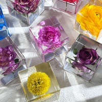 Nouvelle Tendance Décoration Maison : Fleur d'Orchidée Naturelle Longue Durée Préservée dans un Cube de Résine – Cadeau Original pour la Fête des Enseignants et Décoration de Mariage