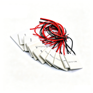 Semi-conducteurs 40*40 mm <span class=keywords><strong>Tec</strong></span> 12706 Module de refroidissement thermoélectrique Peltier Plaque de dissipateur thermique TEC1-12706 - Product Image 2